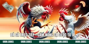 đá gà trực tiếp