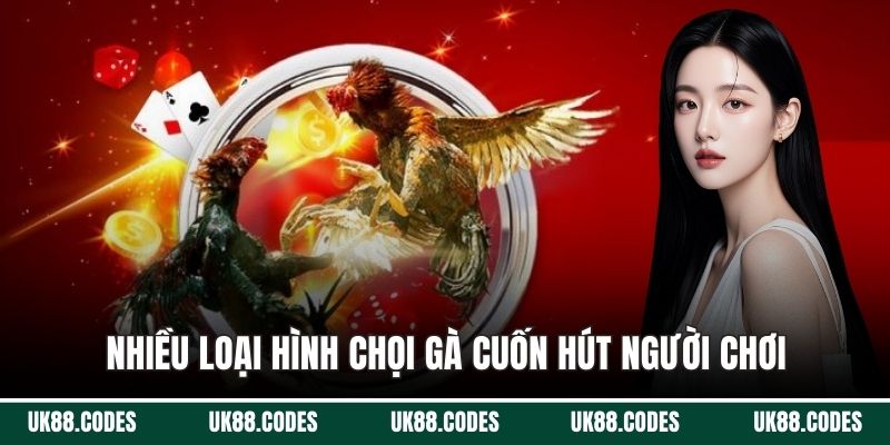 Nhiều loại hình chọi gà cuốn hút người chơi