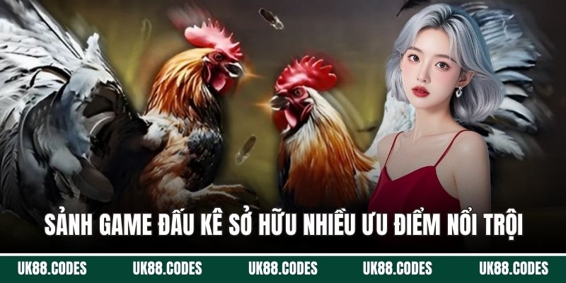 Sảnh game đấu kê sở hữu nhiều ưu điểm nổi trội